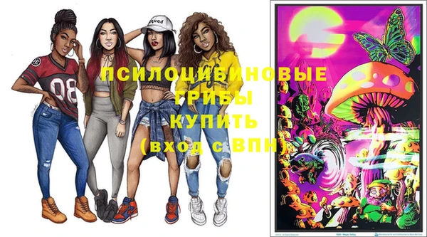 прущие грибы Белоозёрский