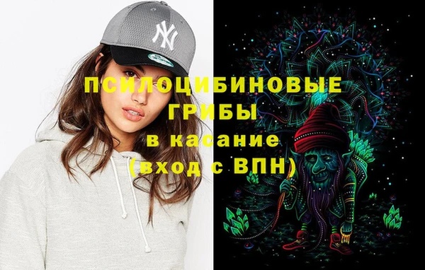spice Беломорск