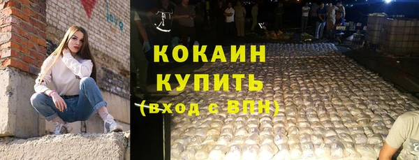 spice Богданович