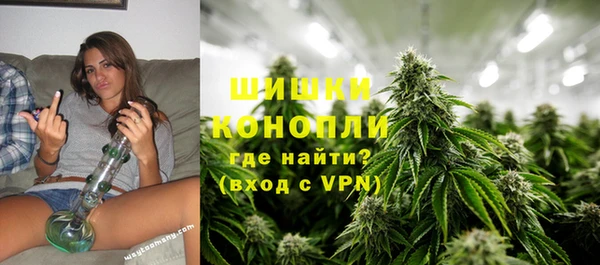 spice Богданович