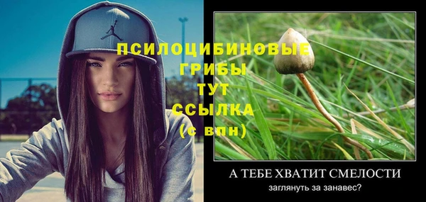 ALPHA PVP Богородск