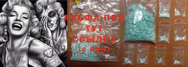стафф Богородицк