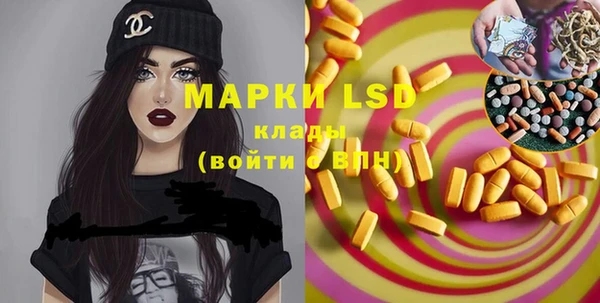 стафф Богородицк